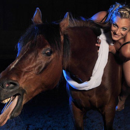 Un cheval fait la grimace avec une femme blonde sur son dos